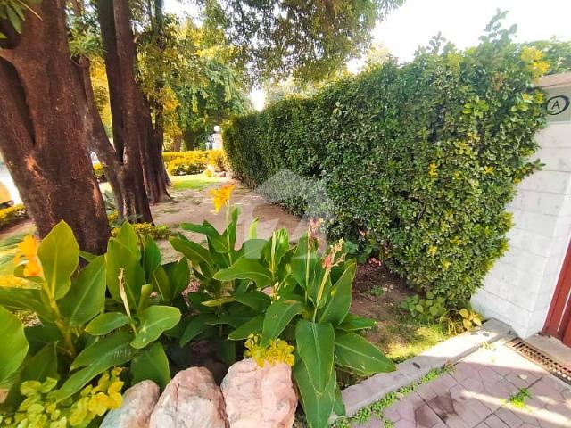 1000 SQYD House In F 6/3 A Rare Opportunity