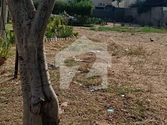1000 yards residential plot for sale at East Avenue corner west open near to DHA Head Office at most prime location
