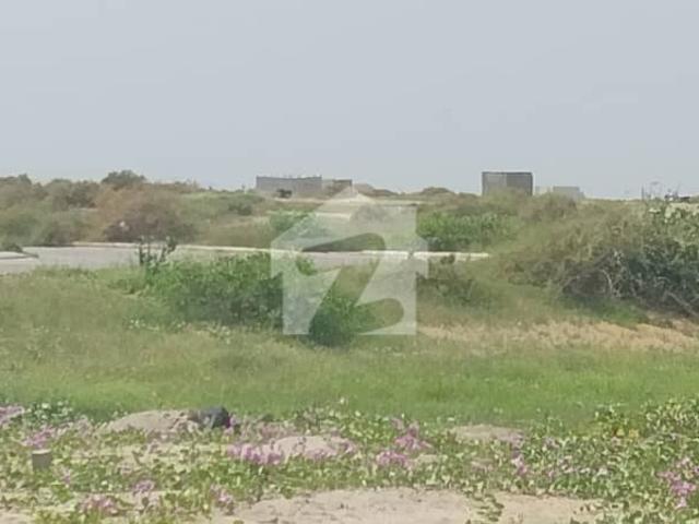 1000 Yards Residential Plot Huge Front For Sale At Most Out Class And Wanted Location street 15th off Ghalib In B Zone In DHA Defence Phase 8, Karachi