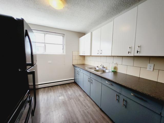 10010 154 Street NW WJ2 Apartment [object Promise] for Rent