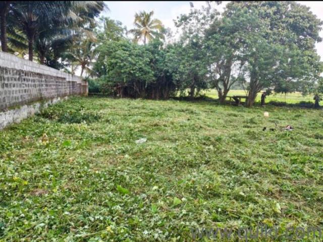 100188 Sq. ft Plot for Sale in Aluva, Kochi