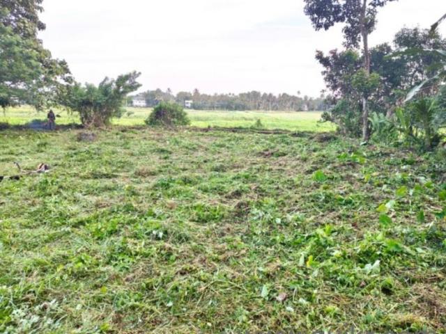 100188 Sq. ft Plot for Sale in Aluva, Kochi