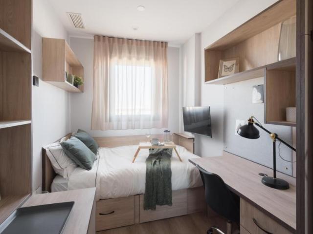 1001 Dormitorio Apartamentos Sevilla Sevilla 103326735