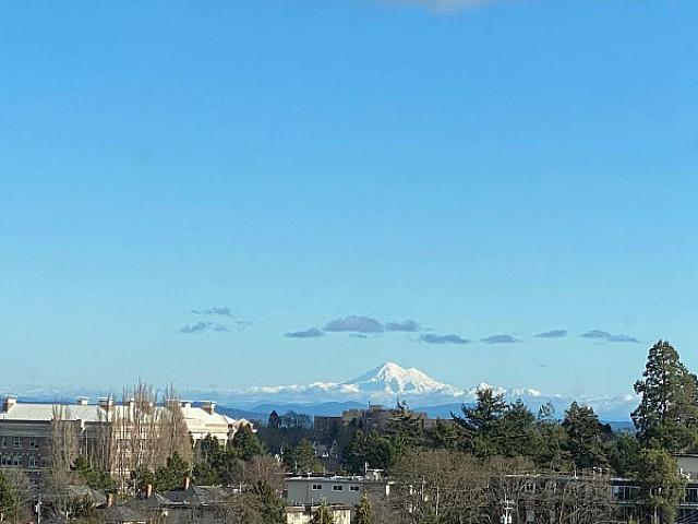 1002 1015 Pandora Ave Victoria, British Columbia
