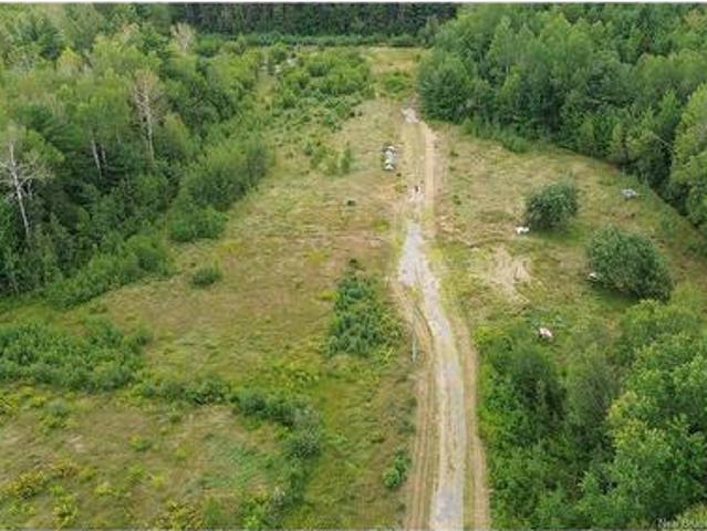 10035 Route 11, Redmondville, NB, E1N 5C6 vacant land for sale | Listing ID NB145901 | Royal LePage