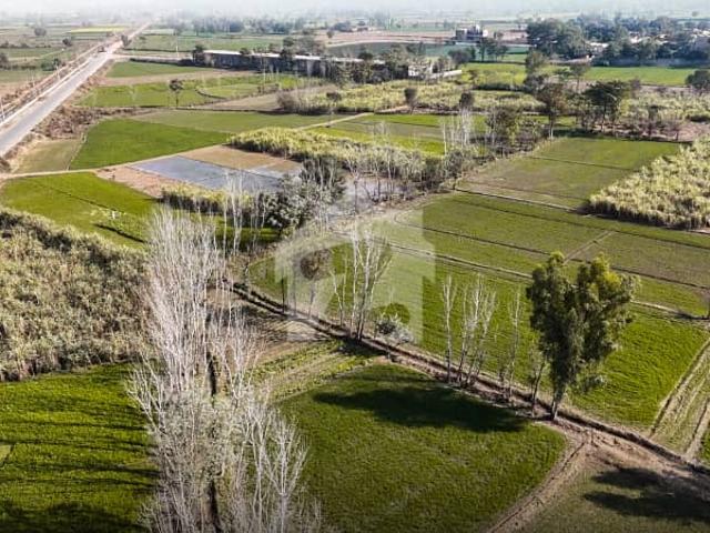 100 Acre Premium Agriculture Land With Wide Frontage on Link Road | A Smart Long Term Investment Faisalabad To Satyana Road