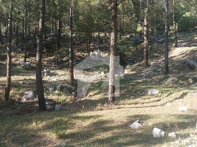 100 Kanal Land For Sale