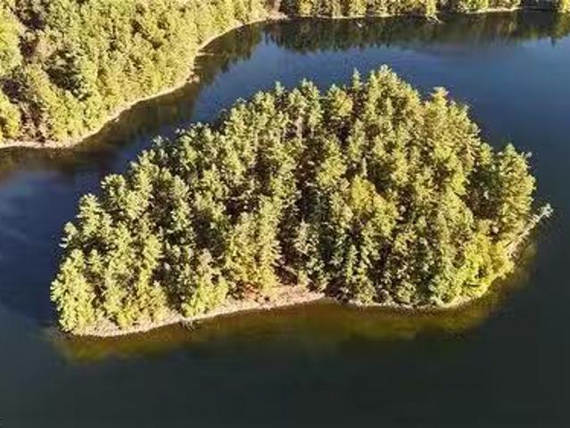 100 Kilgore Island, Cloyne, ON, K0H 1K0 vacant land for sale.