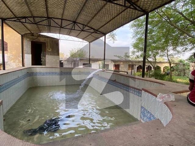 100 Marla Farm House For Rent in Marakiwal