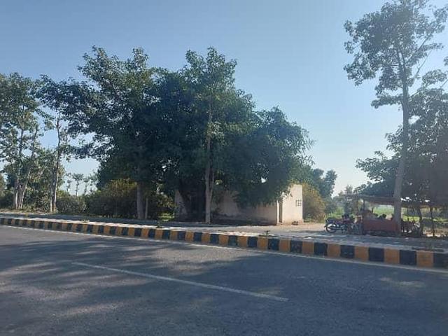 100 marla plot with 197ft front for sale near iub ryk in Pakistan | Clasf real estate