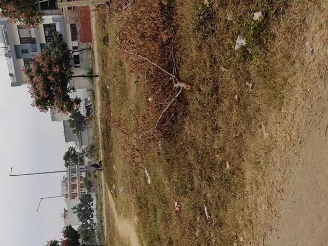 100 Sq.Yd. Plot in Mullanpur Chandigarh Listing ID: #10094
