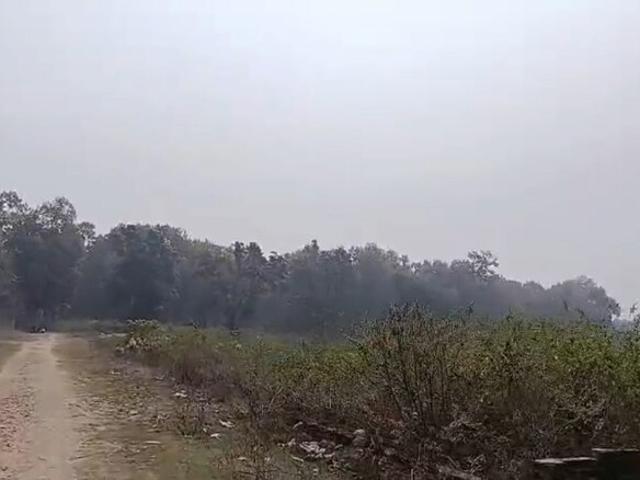 100 Sq.Yd. Plot in Naugaon Dehradun Listing ID: #10074