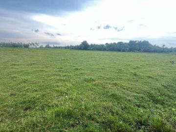 100 sqm Residential Lot For Sale [Lots ] April 2025 in Medellin, Cebu for sale