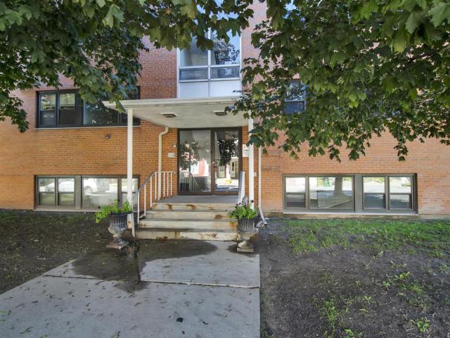 100 Waverley Street Studio [object Promise] for Rent