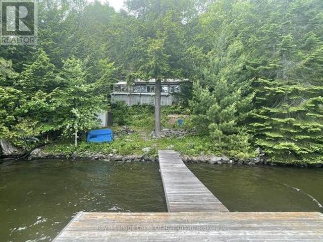 1010 Medley Trail, Minden Hills Minden, ON, K0M 2K0 house for sale | Listing ID X12287 | Royal LePage