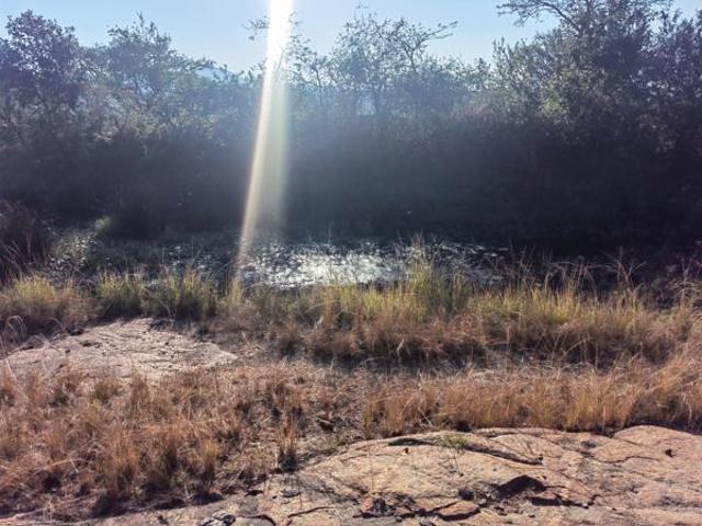 101 ha Land available in Nelspruit Rural