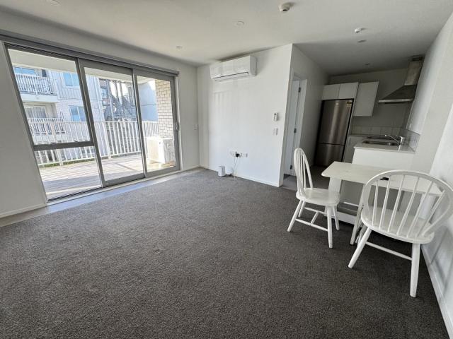 102/28B Eileen Newey Place, Henderson, Waitakere City