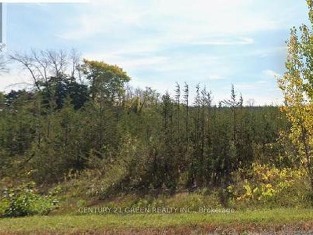 1034 Lazier Road, Tyendinaga, ON, K8N 4Z6 vacant land for sale | Listing ID X13490 | Royal LePage