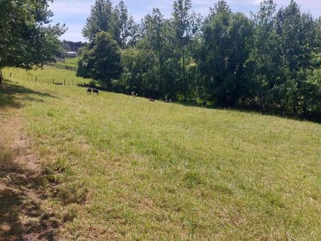 1036 Cove Road, Langs Beach, Whangārei