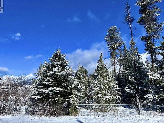 1044 9th Avenue Valemount, British Columbia