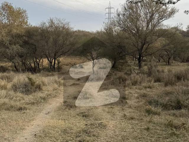 104 Kanal Agricultural Land For Sale In Chakwal