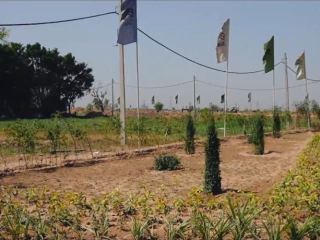 104 Sq.Yd. Plot in Panchkula Urban Estate Panchkula Listing ID: #9894