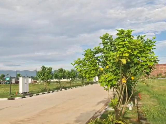 104 Sq.Yd. Plot in Panchkula Urban Estate Panchkula Listing ID: #9919