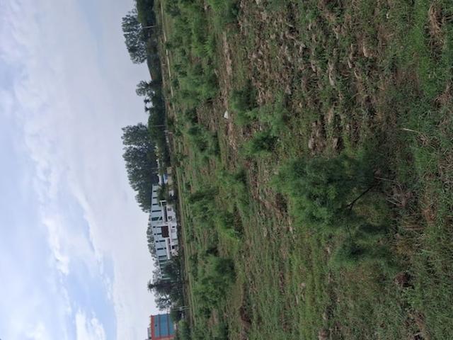 104 Sq.Yd. Plot in Sector 102 Gurgaon Listing ID: #10334
