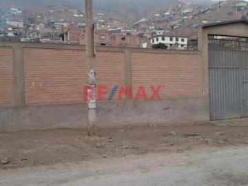 1065620 Se Vende Terreno De 2,500 M2 En Anexo 22 Jicamarca
