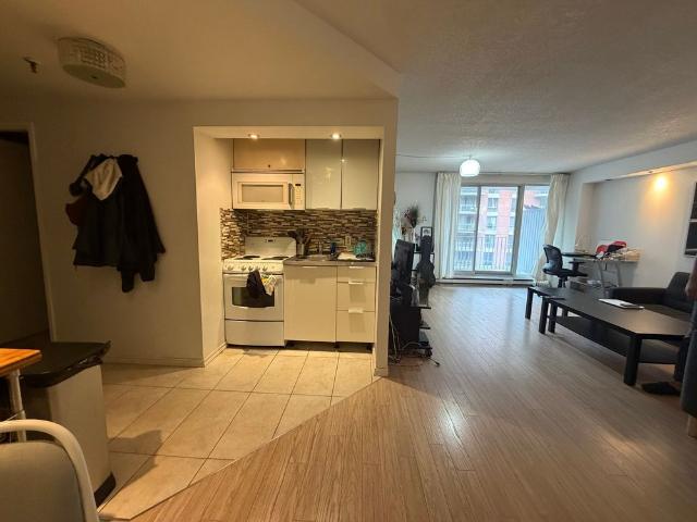 1077 Rue St Mathieu Montréal Ville Marie, QC H3H
