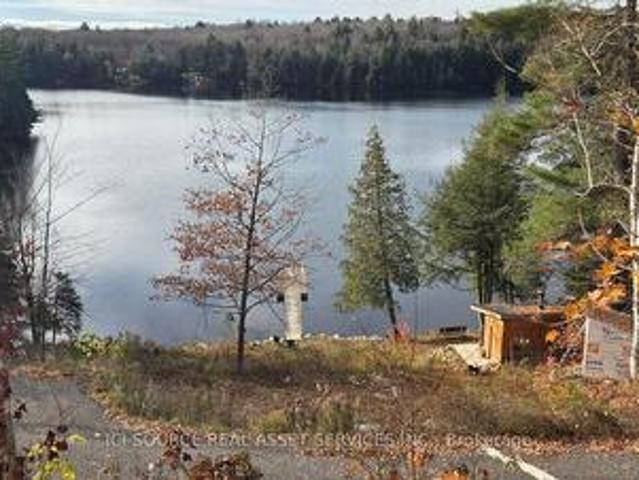 1071 Diamond Lake Road, Johnson, ON, P0R 1E0 vacant land for sale | Listing ID X13465 | Royal LePage