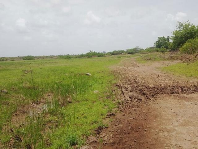 1089 Sq.Ft. Plot in Dronagiri Navi Mumbai Listing ID: #10357