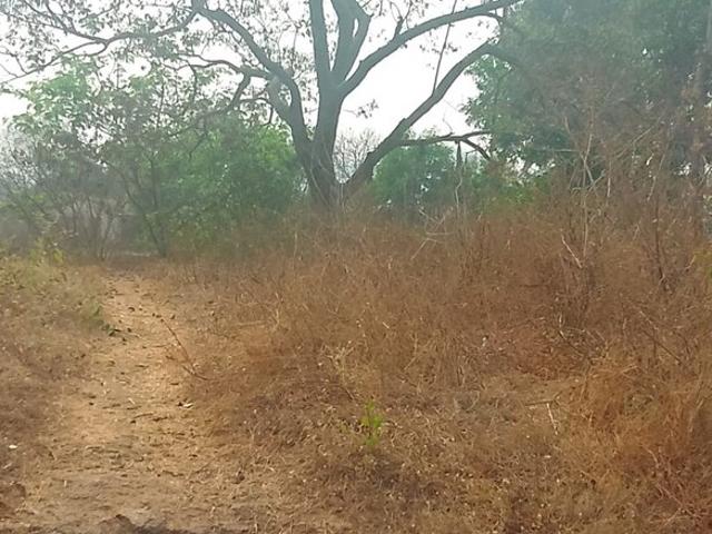 1089 Sq.Ft. Plot in Koproli Navi Mumbai Listing ID: #10109