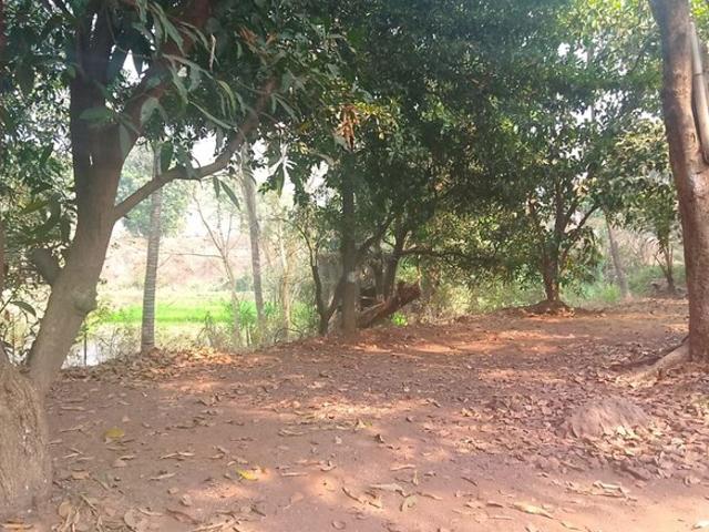 1089 Sq.Ft. Plot in Uran Navi Mumbai Listing ID: #10122