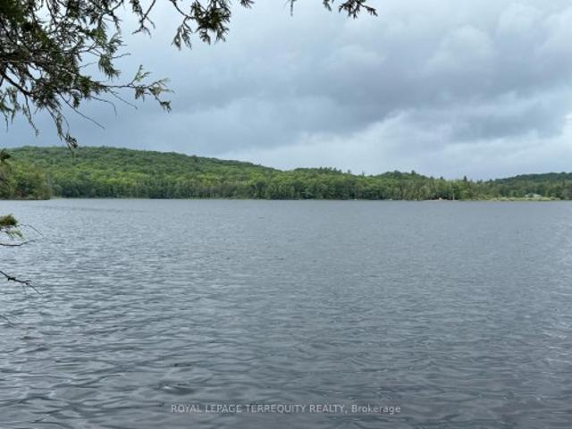 1097 Swirlingleaves Lane, Highlands East, ON, K0L 1C0 house for sale | Listing ID X13605 | Royal LePage