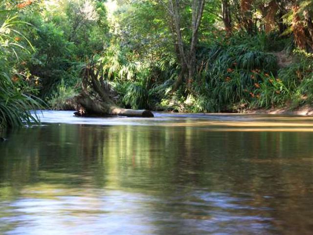 1099 Paradise Valley Road, Ngongotaha Valley, Rotorua