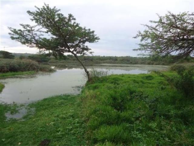 10.4 ha Land available in Cove Rock