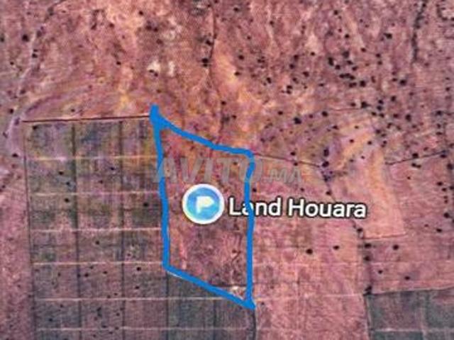 10.5 Hectare à vendre Bouria
