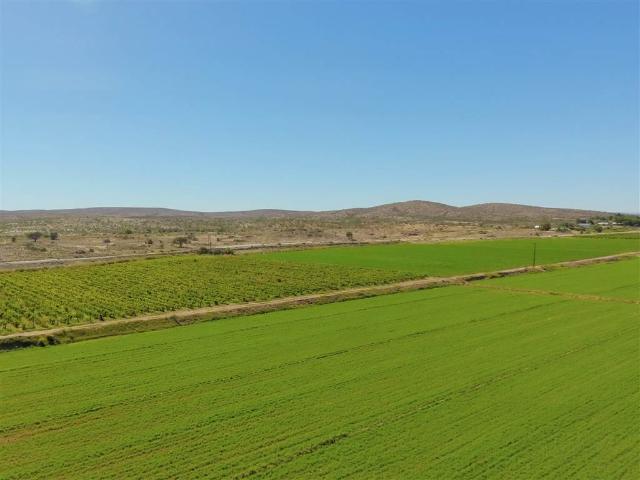 10.7 ha Farm in Groblershoop