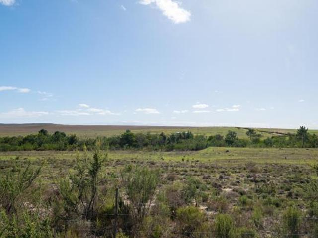 10.7 ha Land available in Napier