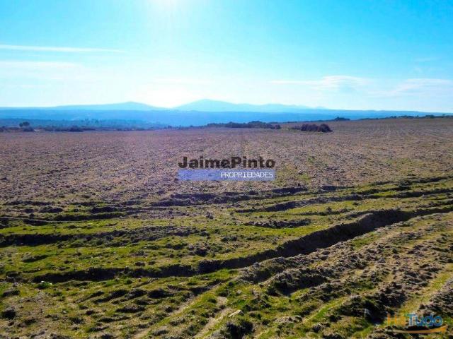 10,9ha de terra plana para plantações. Portugal, F. C. Rodrigo, Barca dAlva | 26083212295