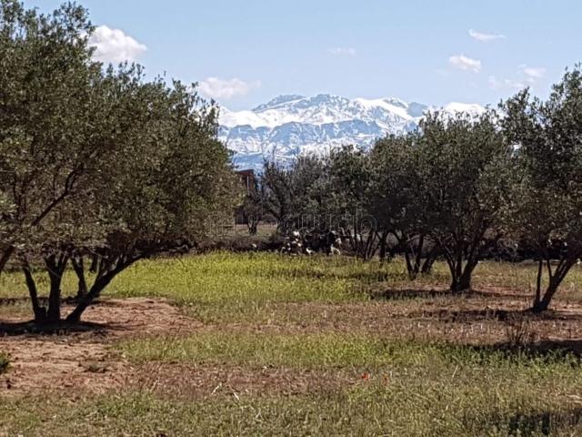 10,000 m² avec magnifique vue sur l'Atlas