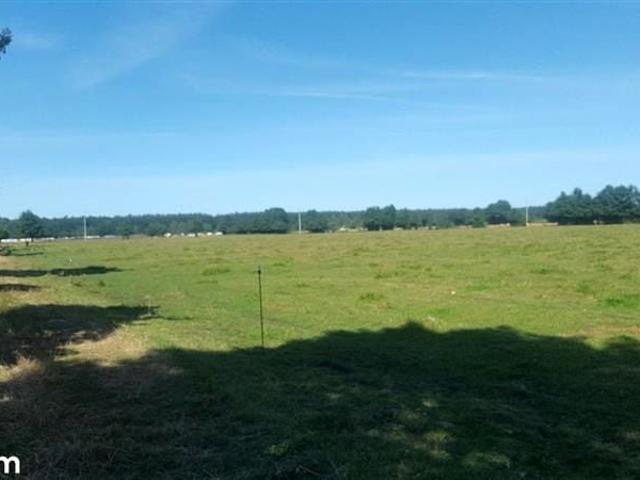 10 000 m², Karwia