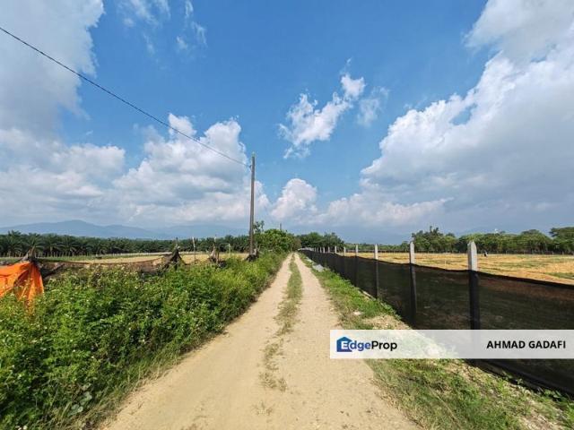 10 acre Agri Land Freehold Non Bumi at Batang Kali With Electricity