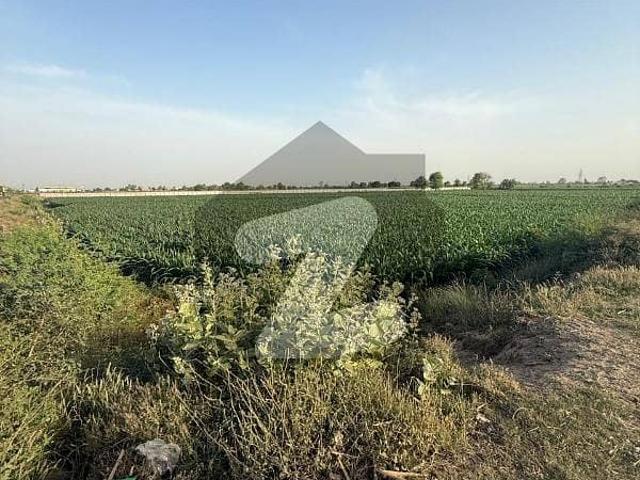 10 acre corner agricultural land on main manhtnwala nankana road available for sale hot location nearby 1.5 km from nankana sahib motorway interchange