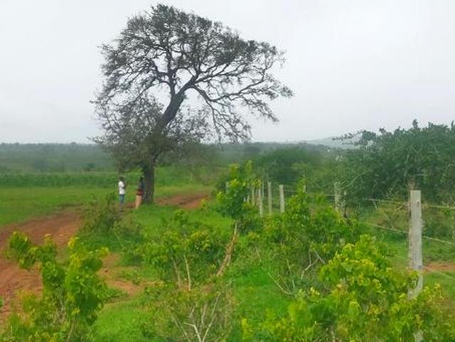 10 acres farmland kilifi mavueni