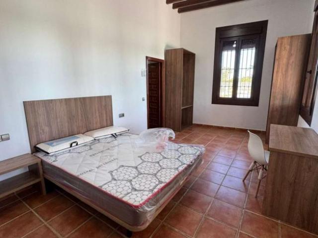 10 Dormitorio Shared Living/Roommate Alicante Alicante 101809037