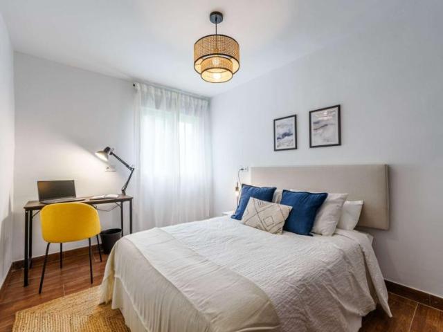 10 Dormitorio Shared Living/Roommate Malaga Malaga 103340381