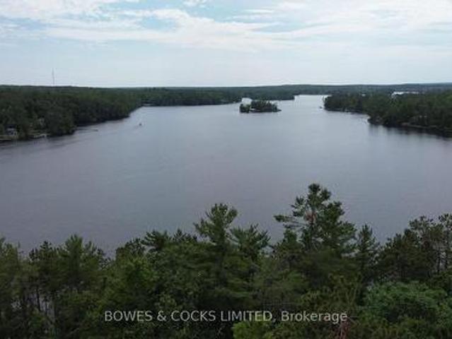 10 Fire Route 46, North Kawartha, ON, K0L 2H0 house for sale | Listing ID X12305 | Royal LePage