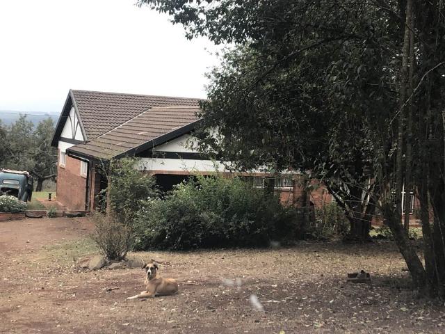 10 ha Farm in Merrivale